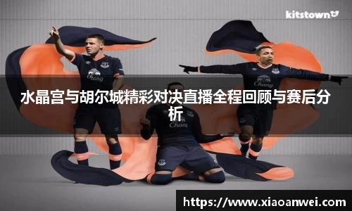 水晶宫与胡尔城精彩对决直播全程回顾与赛后分析